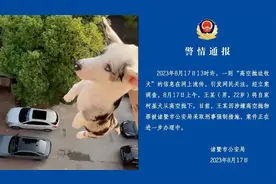 男子将柯基犬从高空抛下，还拍视频炫耀 警方：采取刑事强制措施视频封面