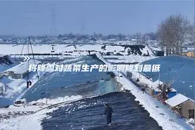 潍坊寿光：菜农清雪身影忙视频封面