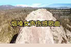 触及灵魂的烟嗓伤感十首金曲。