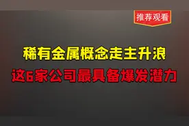 A股，这6家稀有金属概念的公司，最具备主升浪爆发潜力