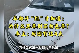 车都开“烂”才知道：为什么买车别买白色车？车主：原因有这4点