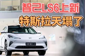 智己LS6上新，特斯拉天塌了？视频封面