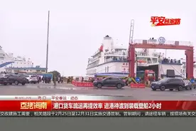 港口货车疏运再提效率 进港待渡到装载登船2小时视频封面