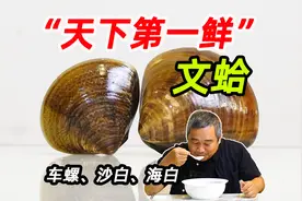 用科学，把号称“天下第一鲜”的文蛤吃明白，教您免费赶海吃到它视频封面