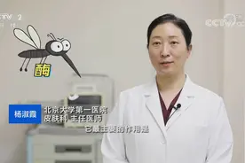 被蚊子咬后为啥包越来越大 被叮咬后如何止痒？视频封面