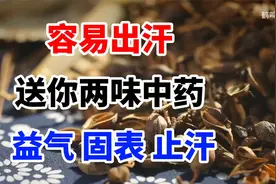 容易出汗 送你两味中药 益气 固表 止汗视频封面