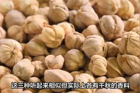 白蔻、草蔻和肉蔻区别这么大？难怪每次用错，看完文章长见识了