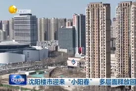 沈阳楼市迎来“小阳春” 多层面释放回暖信号视频封面