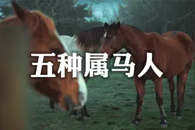 你是属马人吗？想知道自己是哪种属马人吗？