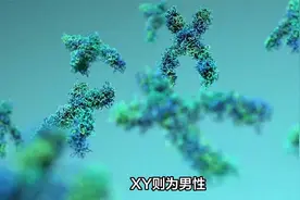 人类Y染色体只存在于男性，可以用于父辈溯源？视频封面