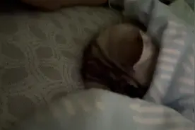 猫咪盖被之猫咪蒙被睡