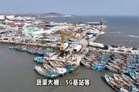蔬菜大棚、5G基站等设施纷纷投用！青岛“三无小岛”焕新颜视频封面