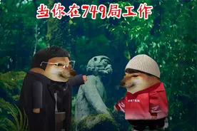 当你在哀牢山发现了9窍石人！视频封面