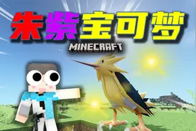 巨型闪电鸟！捕捉全形态伊布！#11 我的世界