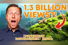 【中英文字幕机译】为何海苔会迅速走红！柏格博士