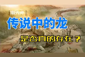 龙真实存在的最强证据？我们现在看不到，只因它存在于四维空间？视频封面