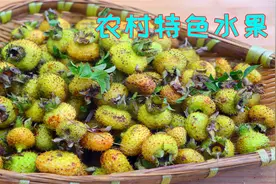 四川农村这个水果堪称维C之王，很多人还没见过，更别说吃过了视频封面