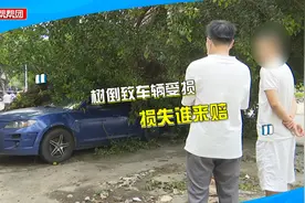 车辆被树木压坏，因未买保险上万元维修费无法理赔，车主：找谁赔