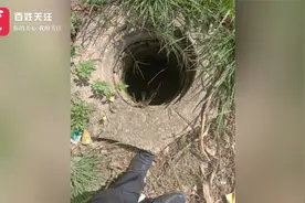 河南周口67岁外逃嫌疑人赵子龙已确认死亡：井里找到遗体视频封面