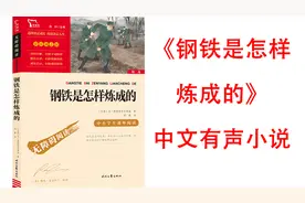 钢铁是怎样炼成的-2
