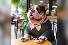 恶霸狗想找到爱情视频封面