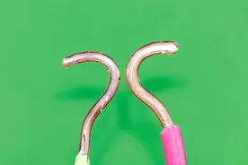 4平方和6平方硬线怎么接？就算是老电工亲自动手，也很难接成这样