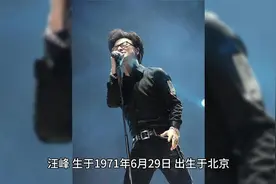 歌手汪峰简介视频封面