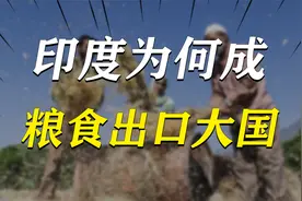 印度粮食产量远不及中国，3500万人饿肚子，为何能成粮食出口大国视频封面