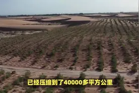 中国治沙显成效：比海南岛还大的沙漠，80%已焕发绿色生机视频封面