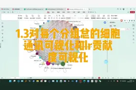 对每个分组总的细胞通讯可视化和lr贡献度可视化，代做生信分析