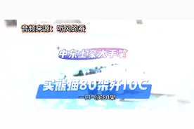 听风的蚕：中东土豪大手笔买熊猫80架歼10C视频封面