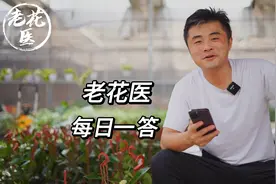 山楂树不S不活的咋办？鲁冰花叶子黄叶卷叶？视频封面