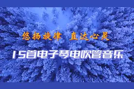 15首电子琴电吹管DJ音乐，3D环绕立体声，悠扬旋律直达心灵！视频封面