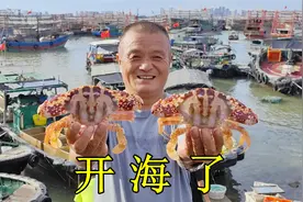开海了，渔船大丰收回来，野生红花蟹白菜价，买20斤当饭吃视频封面