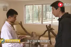 广东小伙筹资4000万山中养穿山甲，用新技术拯救濒危野生动物ghb