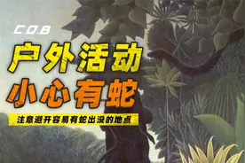 蛇喜欢躲在哪些地方