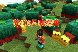 我的世界：1.20版本，养100只嗅探兽，种出新作物火把花和瓶子草
