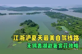 无锡最美湖岸线，夏日避暑环湖自驾，全程免费宝藏地一路打卡赏花视频封面