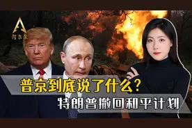 普京电话里说了什么？特朗普紧急撤回和平计划，泽连斯基蒙在鼓里视频封面
