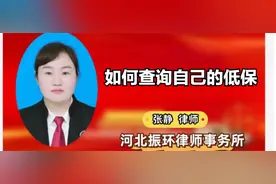 如何查询个人低保信息？快速了解查询流程与方法，不再错过！视频封面
