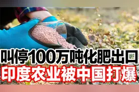 叫停100万吨化肥出口，印度农业被中国打爆！