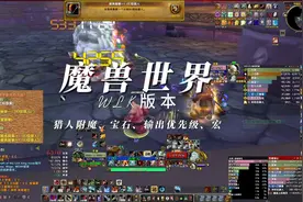 猎人附魔、宝石、输出优先级、宏##魔兽世界 #巫妖王之怒  #猎人