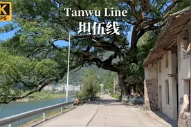 行驶在浙江东南山区偏僻的乡村公路-温州丽水坦伍线-4K视频封面