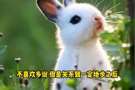 哪几个生肖，心直口快容易得罪人，但天性善良单纯，最没心机视频封面