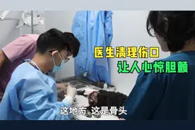 把垂死挣扎的小黑狗送到医院，全力抢救，小狗呜咽的哭声让人泪崩