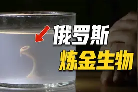 鸡蛋里培育出怪物？俄罗斯炼金术士离奇实验后死于心脏病视频封面