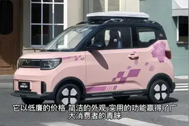 9月纯电微型车销量榜！3款车破万辆，长安Lumin第2，宏光MINI腰斩