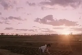 一部80年代的老电影 | 里面的主题曲不知有多少人听过呢？视频封面