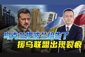 乌克兰状告波兰，欧盟或被粮食撕裂，美国人心里很烦视频封面