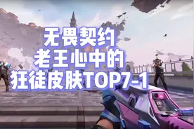 无畏契约截至目前，老王心中的狂徒皮肤TOP14（下）